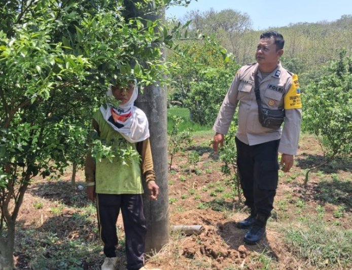 Dorong Kemandirian Ekonomi Keluarga melalui Tanaman Produktif