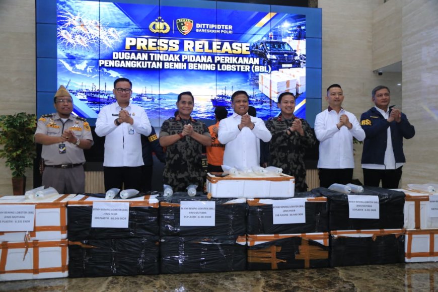 Polri Ungkap Jaringan Penyelundupan Baby Lobster Lintas Negara, Dua Pelaku Ditangkap