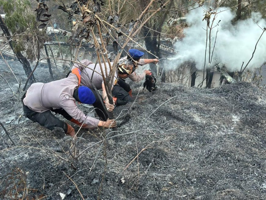 Personel BKO Polda Jatim Gerak Cepat Padamkan Titik Api, Cegah Karhutla TNBTS Meluas